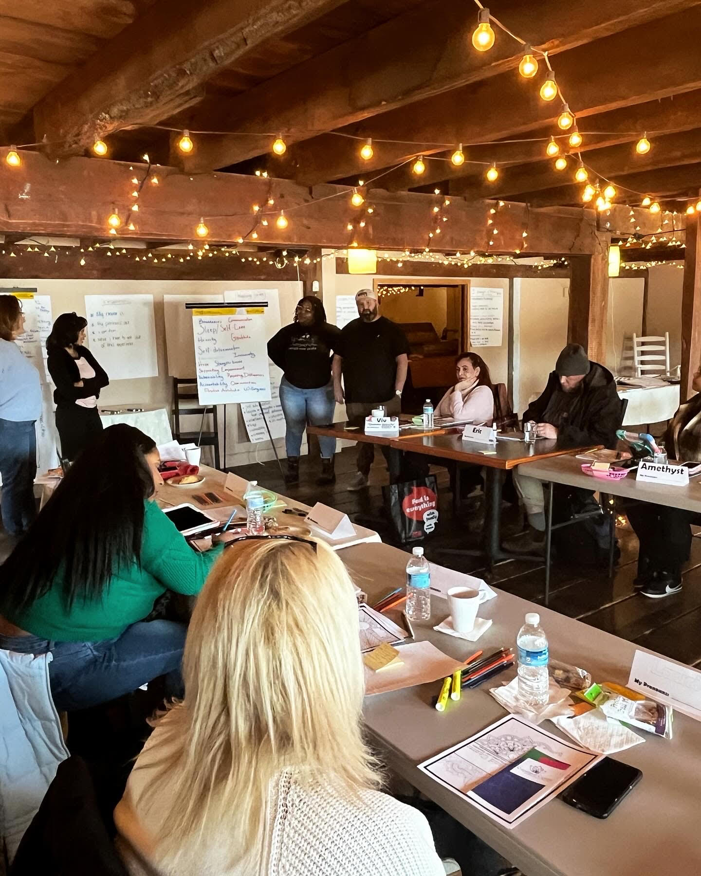 Wellbeing Mentors Course Copeland Center